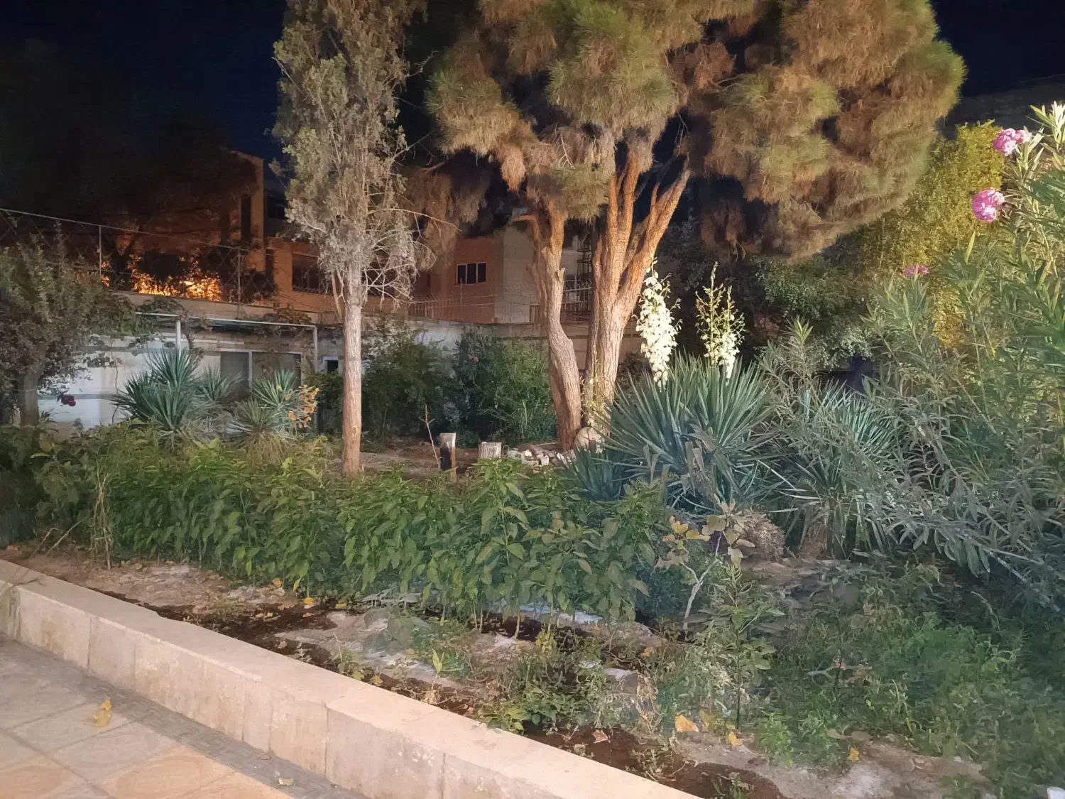 ویلایی مناسب کافه مزون مدرسه سالن زیبایی|اجارهٔ دفتر کار، اتاق اداری، مطب|سبزوار, کاشفی شمالی (دادگستری)|دیوار