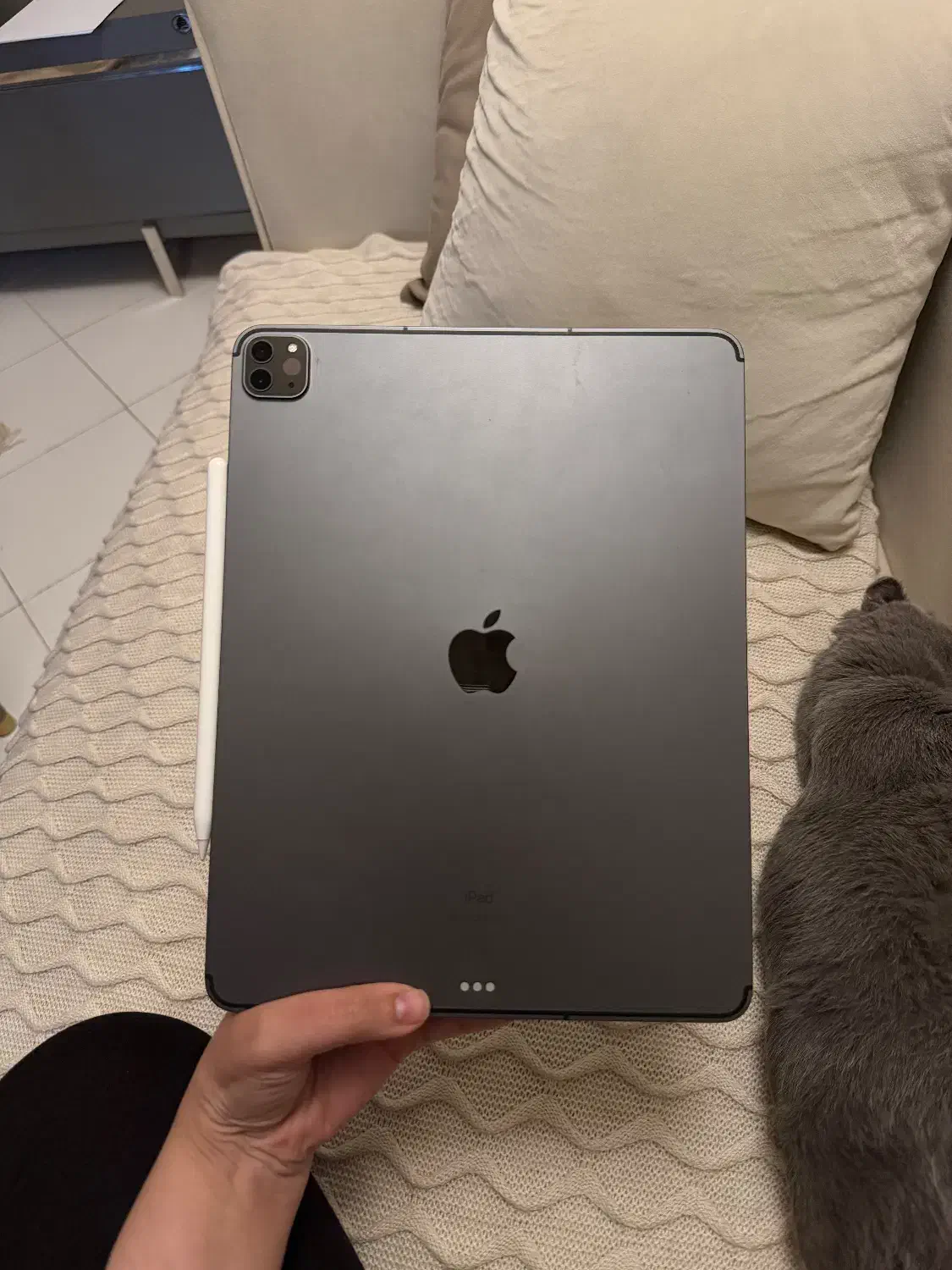 آیپد پرو|تبلت|ساری, |دیوار