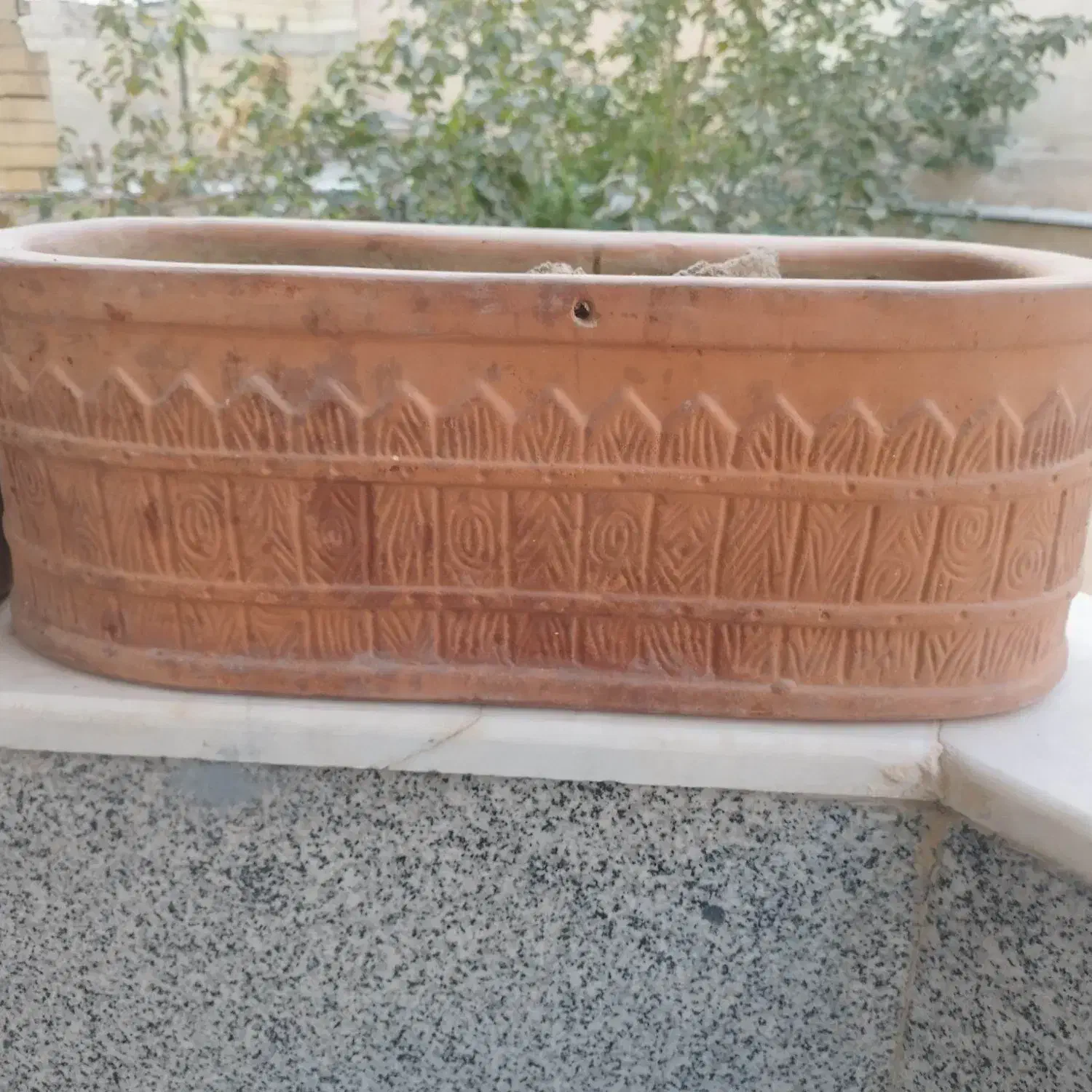گلدان سفالی|گل و گیاه طبیعی|اصفهان, خواجو|دیوار