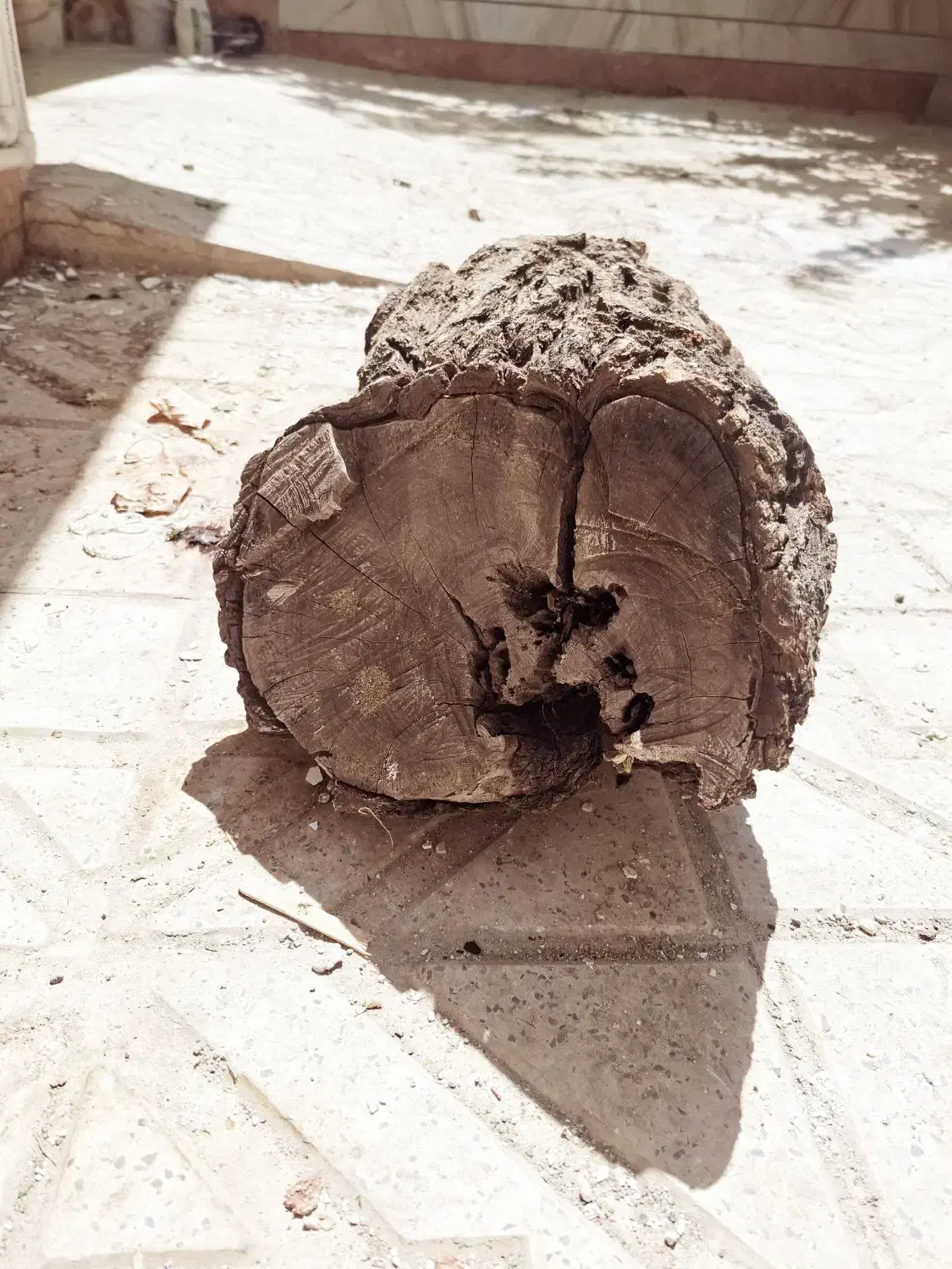 چوب پسته یا گردو|صنایع دستی و سایر لوازم تزئینی|قزوین, |دیوار