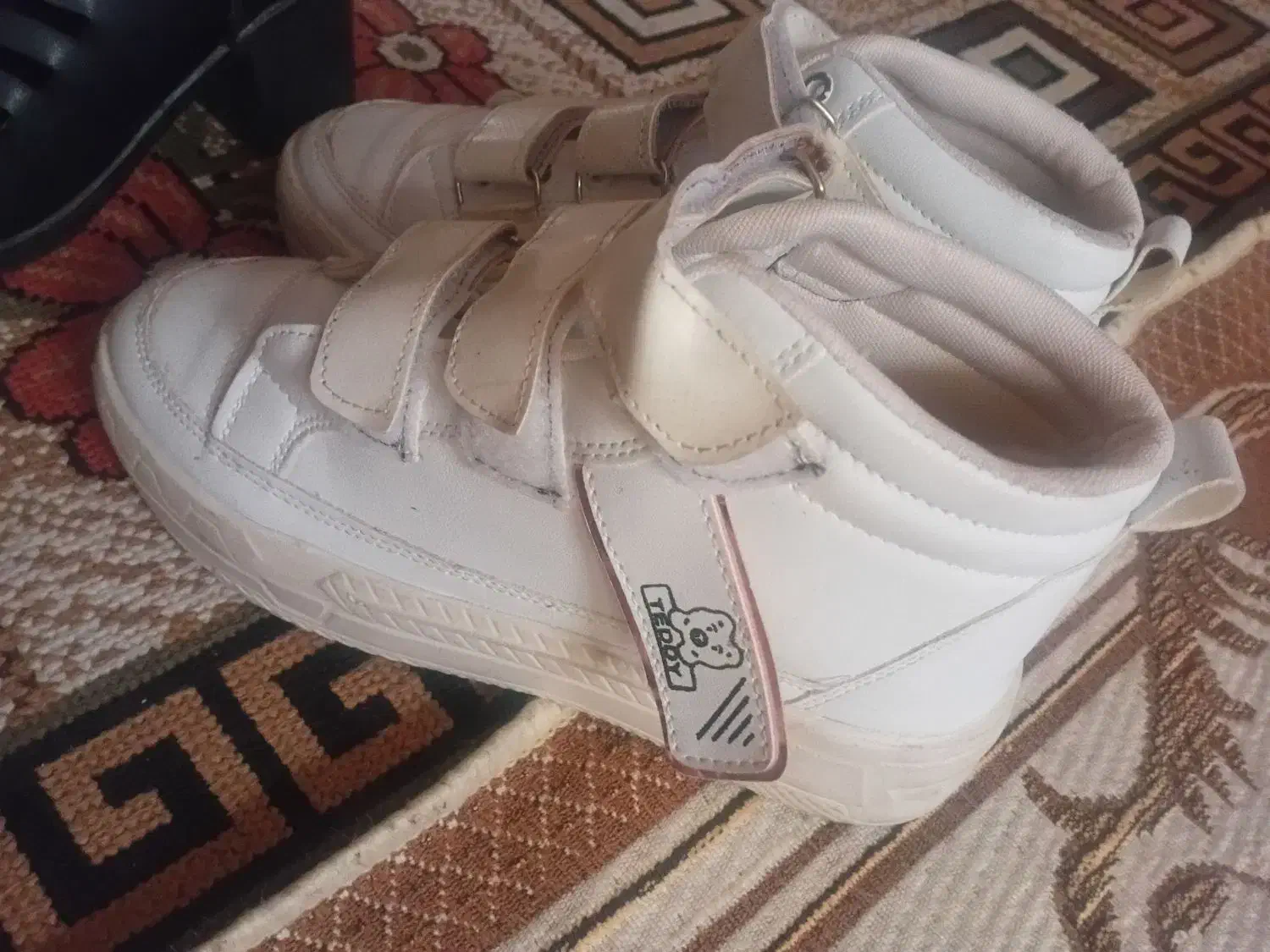 صندل|کیف، کفش، کمربند|یزد, |دیوار