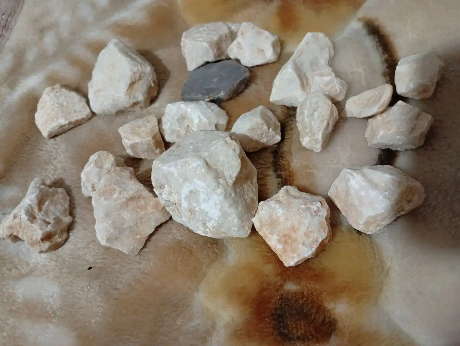 سنگ|کلکسیون اشیاء عتیقه|شیراز, شهرک سراج|دیوار