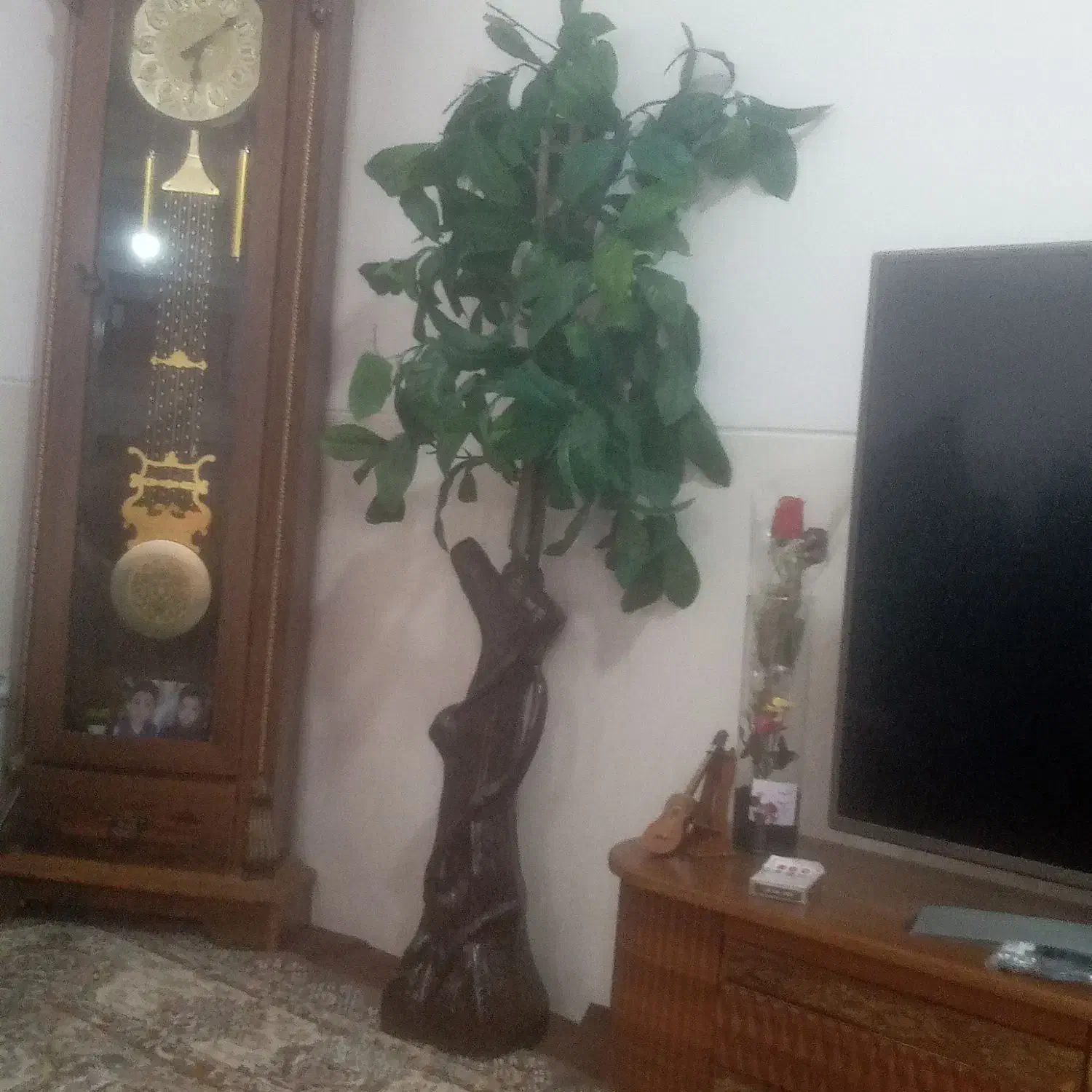 درخت مصنوعی|گل مصنوعی|مرودشت, ژیان|دیوار