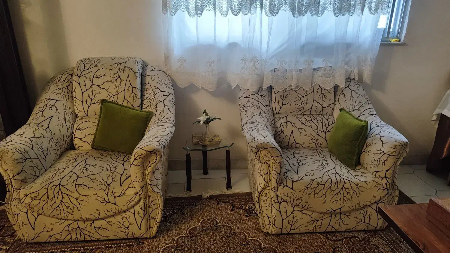 مبل۷نفره|مبلمان خانگی و میز عسلی|رشت, کاکتوس|دیوار