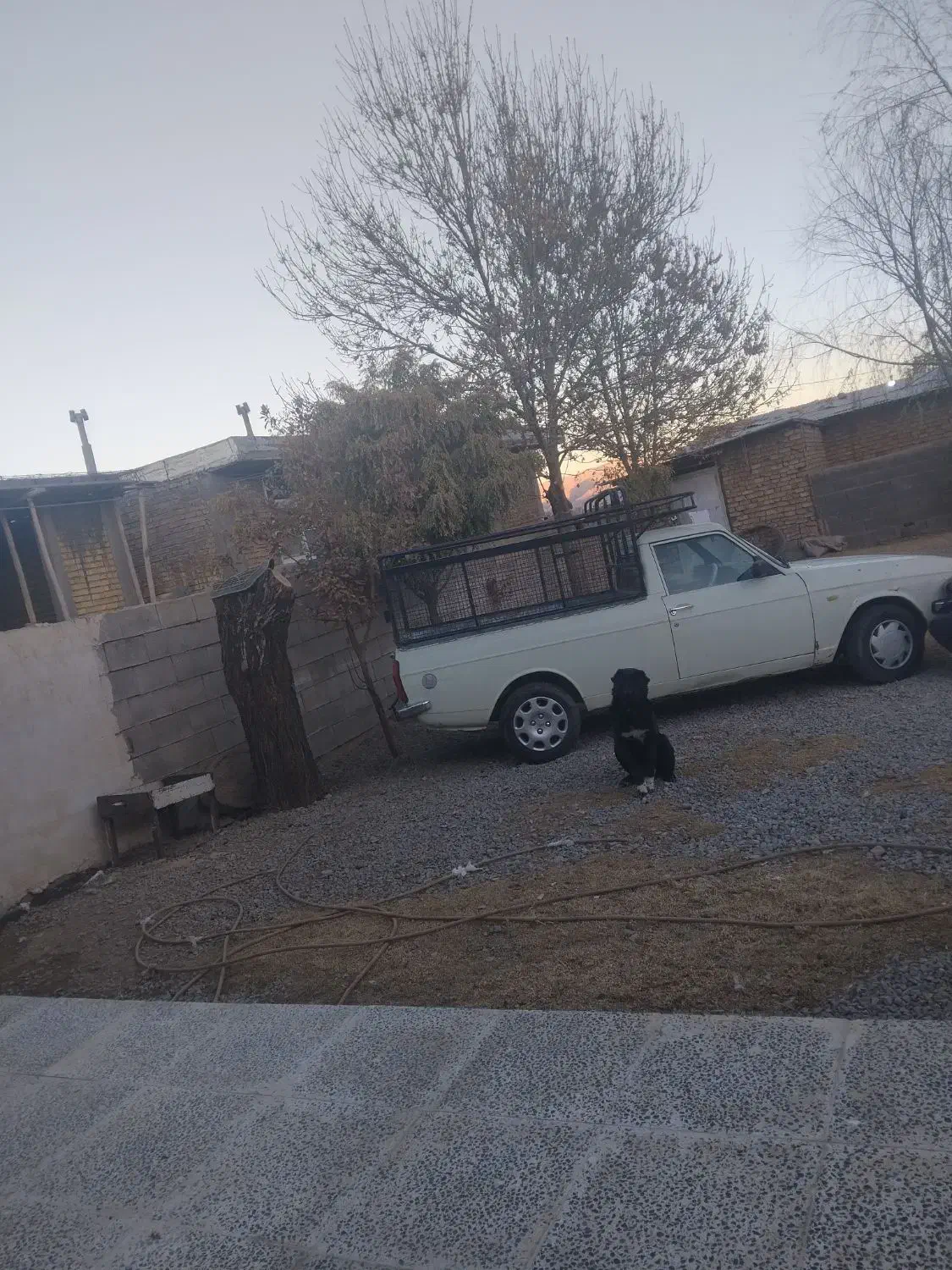 پیکان وانت مدل ۹۳ سفید، موتور سالم به شرط|خودرو سواری و وانت|صدرا-فارس, باغشهر گلبهار صدرا|دیوار