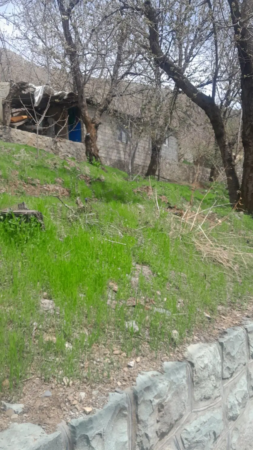 فروش باغ و باغچه در روستای امن|فروش زمین و ملک کلنگی|کن, |دیوار