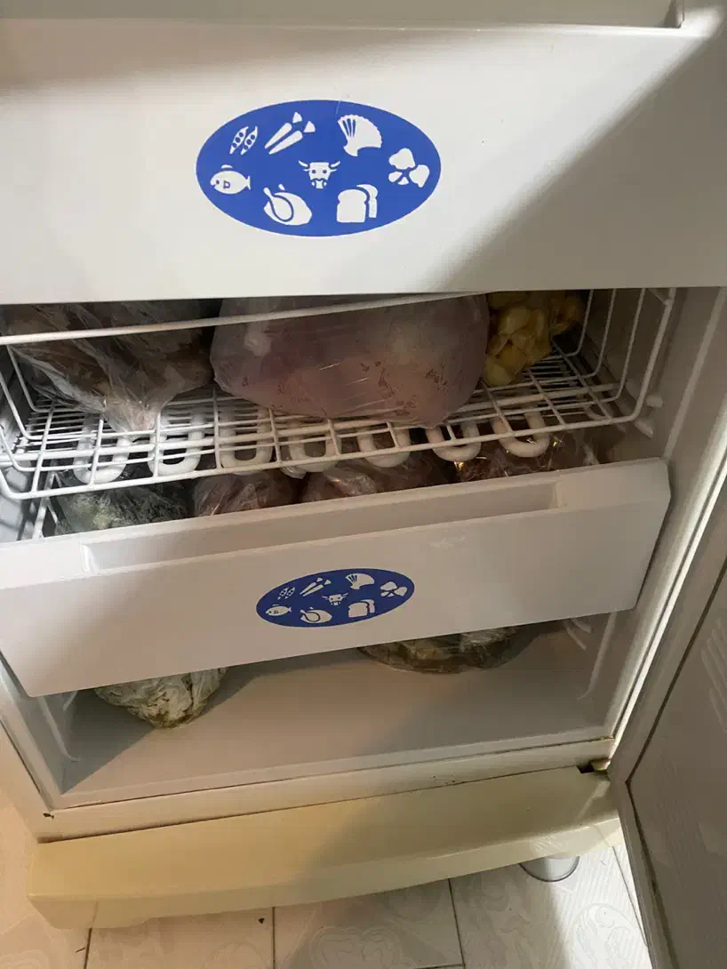 فروش دو عد بخچال فریز|یخچال و فریزر|شیراز, شهرک بهشتی|دیوار