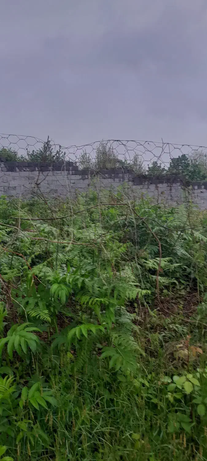 ۱۲۵متر زمین|فروش زمین و ملک کلنگی|لاهیجان, لیل|دیوار