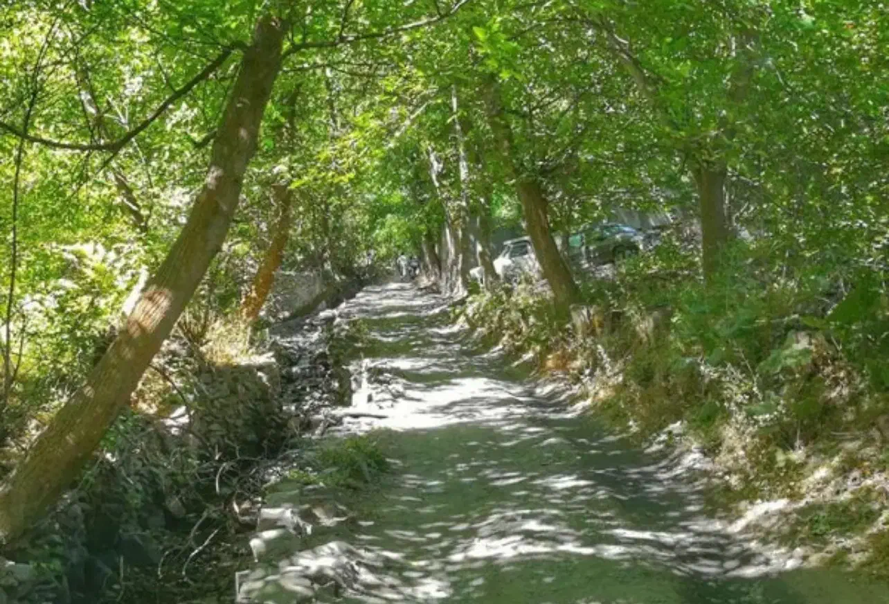 باغ زشک|فروش خانه و ویلا|شاندیز, |دیوار