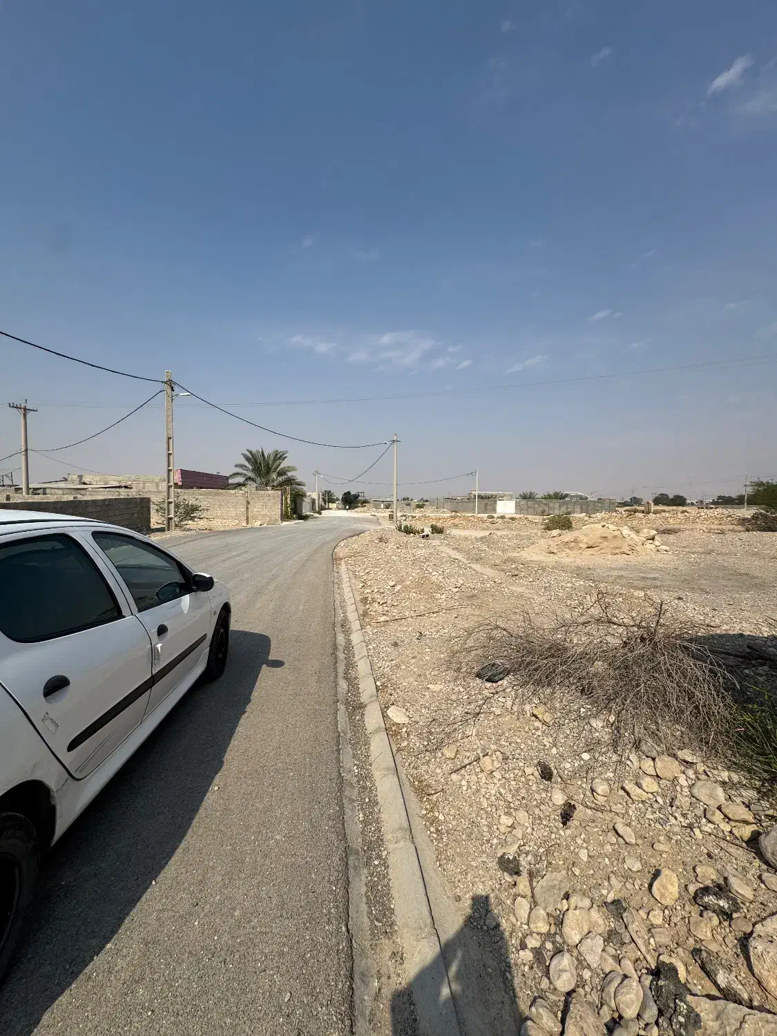 زمین محمد اباد|فروش زمین و ملک کلنگی|خورموج, |دیوار