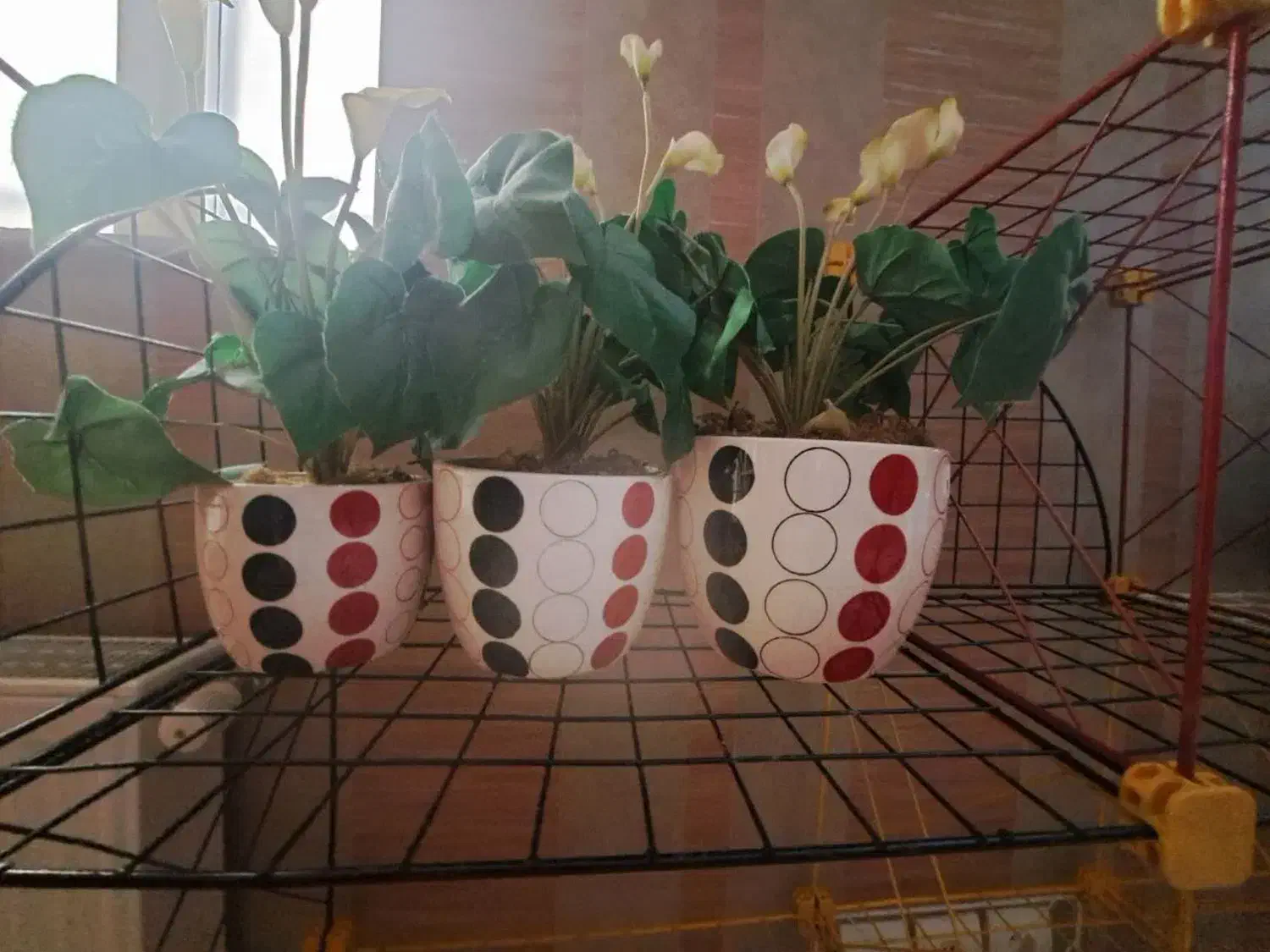 درخت کریسمی|گل مصنوعی|همدان, |دیوار