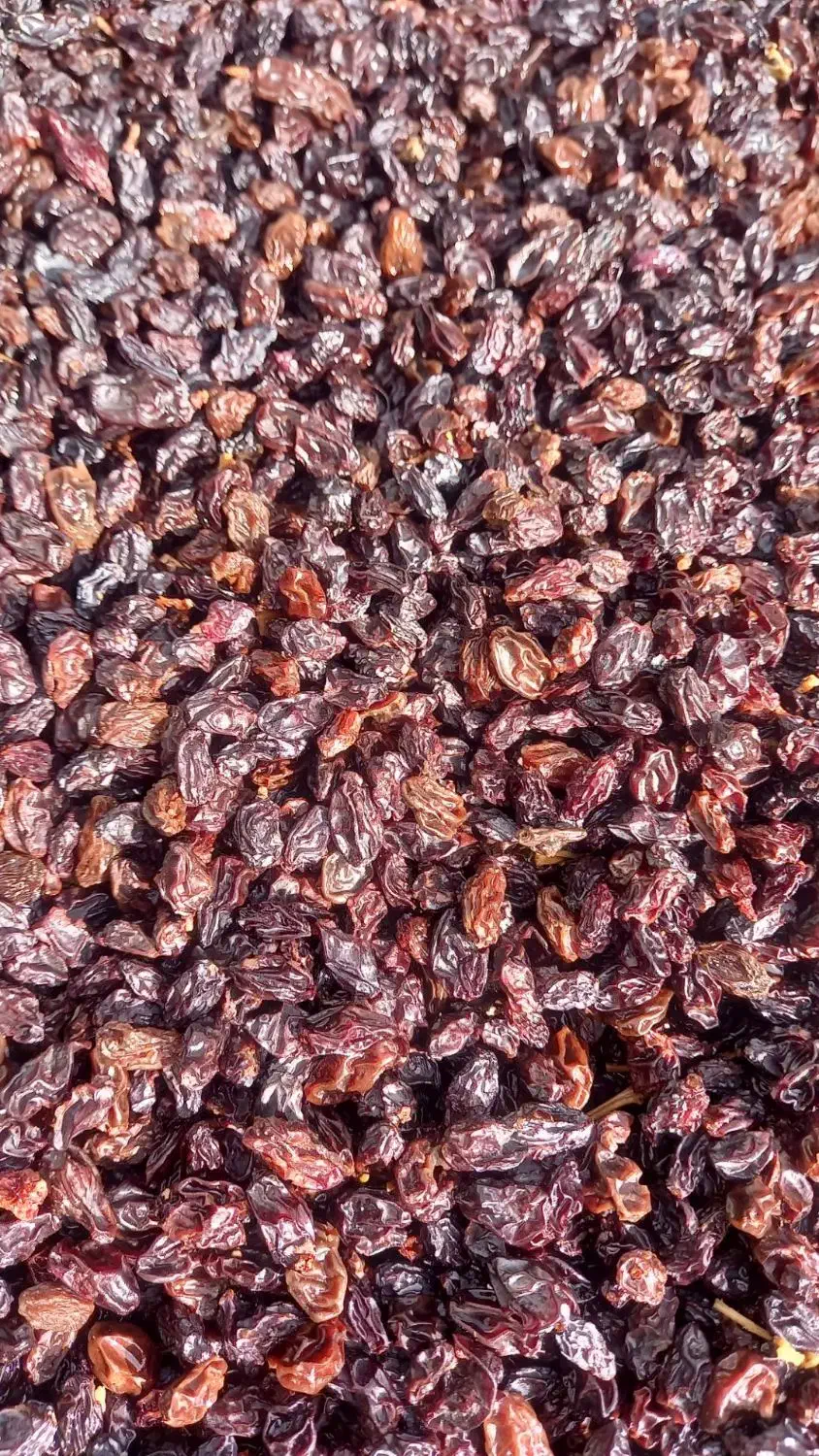 کشمش درجه یک|خوردنی و آشامیدنی|ایوان, |دیوار