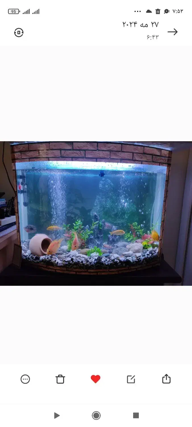 آکواریوم بزرگ شیشه خم|ماهی|اندیشه, اندیشه فاز ۱|دیوار