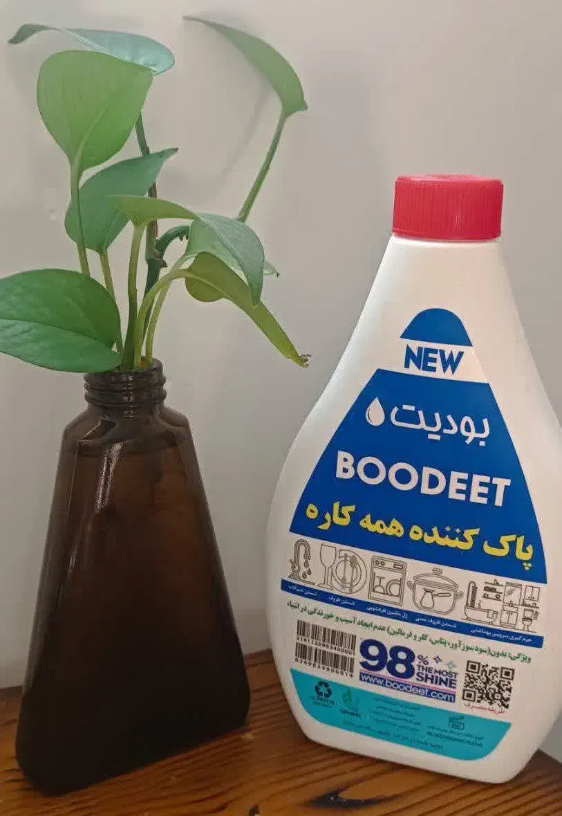 بودیت یک ماده شوینده ۱۲ کاره|مواد شوینده و دستمال کاغذی|زاهدان, |دیوار