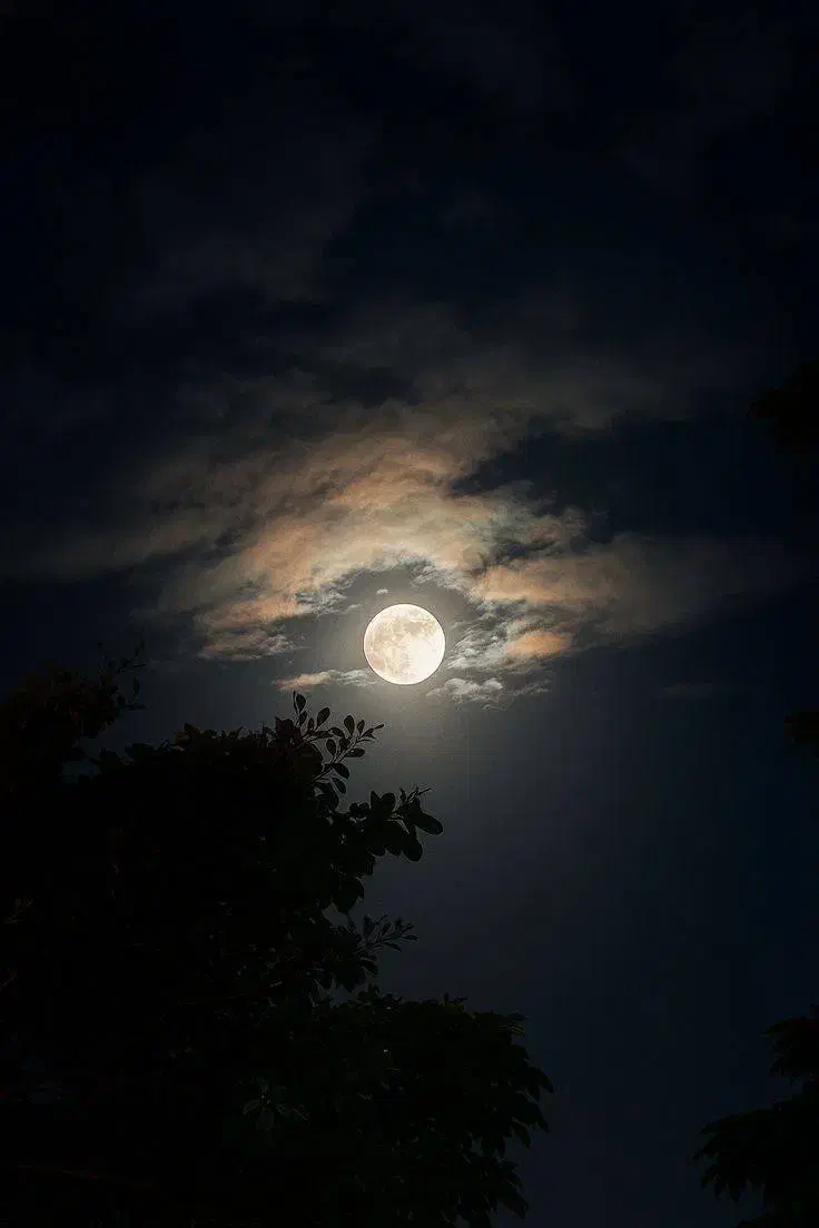 شاگرد کافه|استخدام خدمات فروشگاه و رستوران|زاهدان, |دیوار