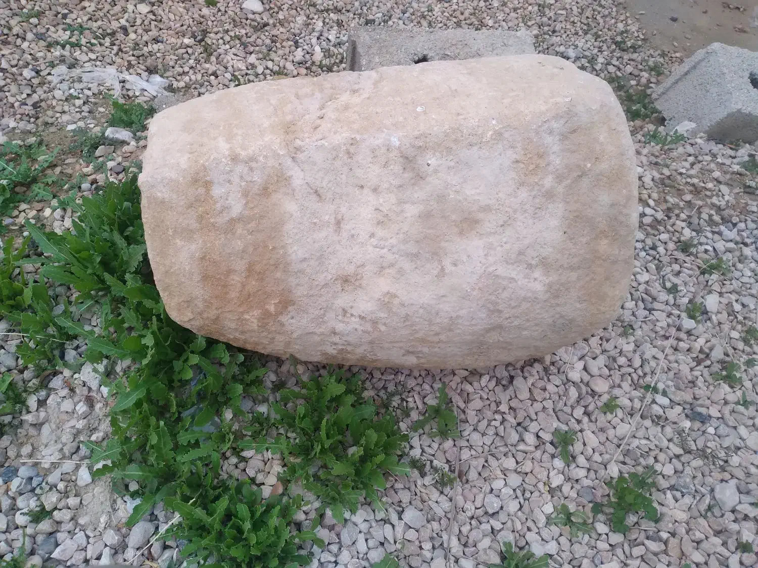 جوغن قدیمی|کلکسیون اشیاء عتیقه|داراب, |دیوار