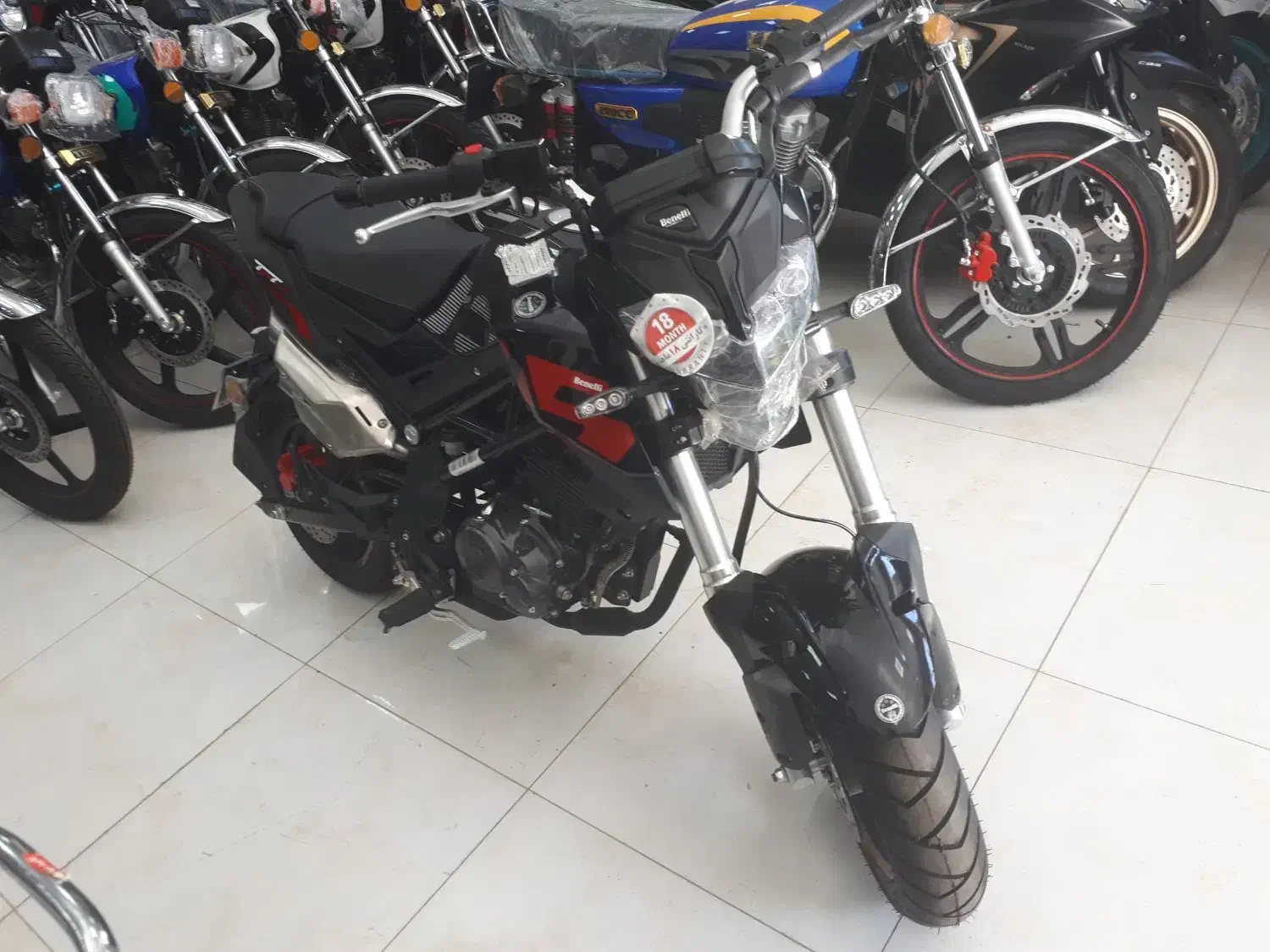 بنلی 135 خشک|موتورسیکلت|بیجار, |دیوار