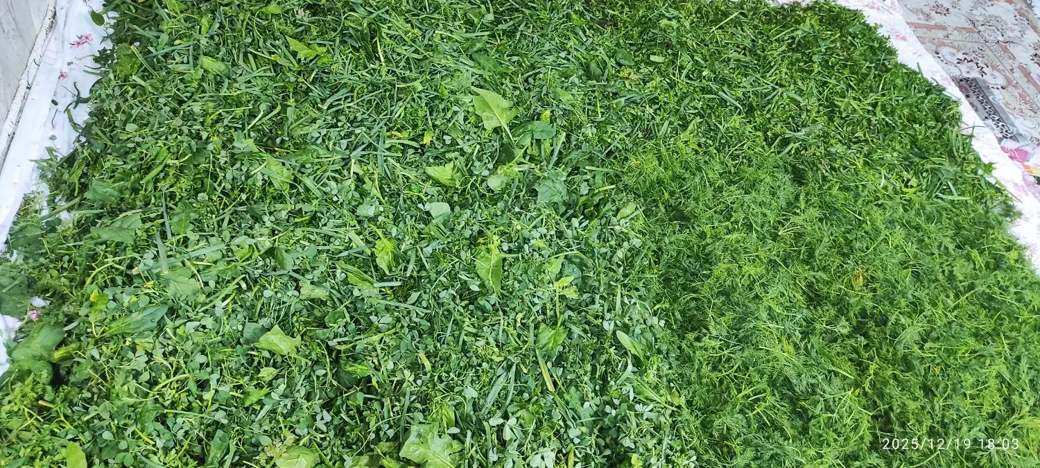 سبزی آش و کوکو سبزی|خوردنی و آشامیدنی|سبزوار, جوادیه شرقی|دیوار