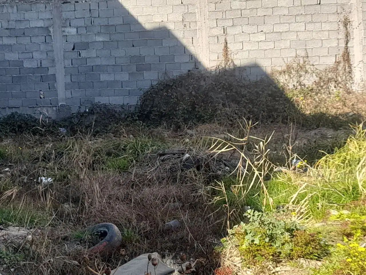 زمین در آسایش ۱۷|فروش زمین و ملک کلنگی|رشت, سلیمانداراب|دیوار