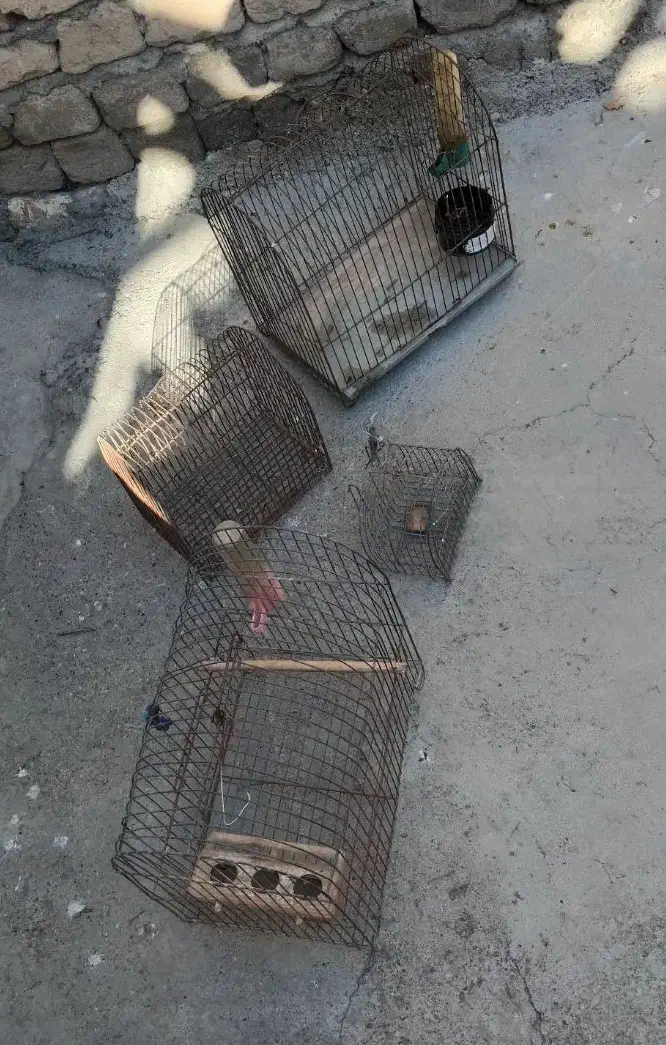 قفس|لوازم جانبی حیوانات|اسلام‌‌آباد غرب, |دیوار