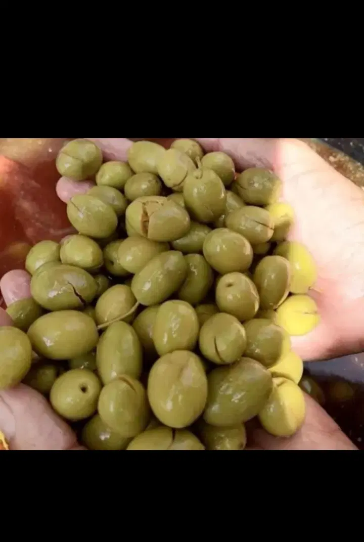 پخش انواع زیتون و روغن زیتون رودبار|خوردنی و آشامیدنی|تهران, قصر فیروزه ۲|دیوار