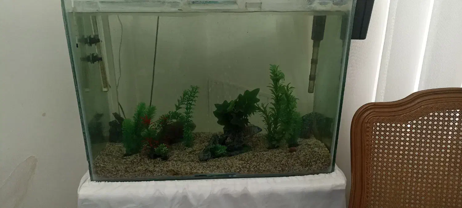 اکواریوم 60*40*85|ماهی|علی‌آباد کتول, |دیوار