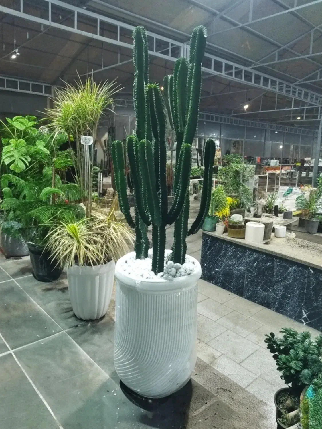 فروش انواع گلهای آپارتمانی و ملزومات|گل و گیاه طبیعی|ورامین, ورامین|دیوار