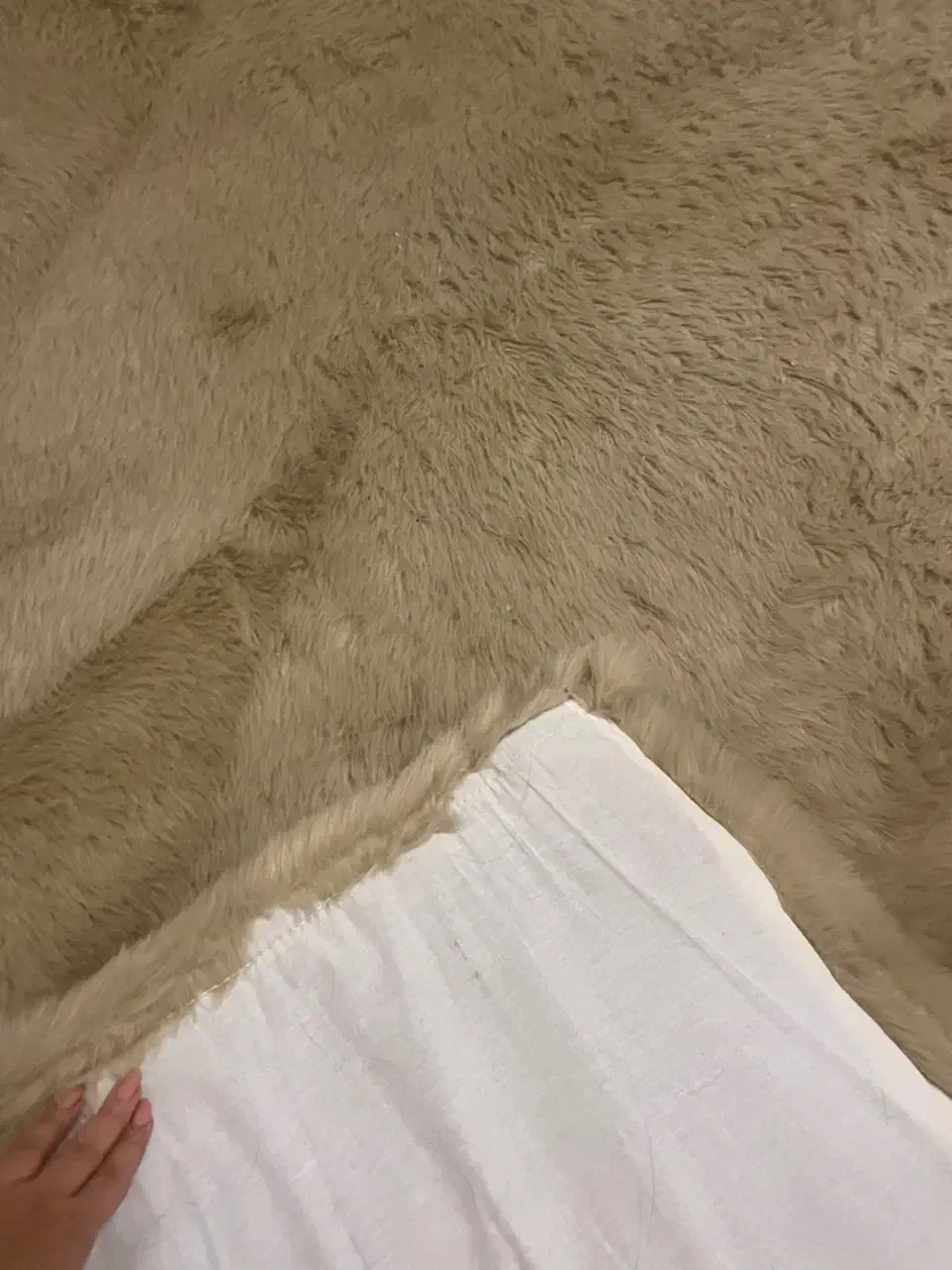 فرش خز|فرش|فولادشهر, B2|دیوار