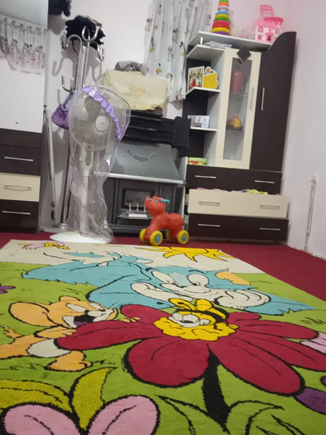 موکت|موکت|نیشابور, سرآب کوشک|دیوار