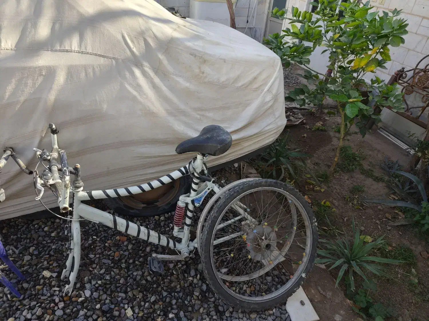 دوچرخه شیمانو|دوچرخه، اسکیت، اسکوتر|رفسنجان, |دیوار