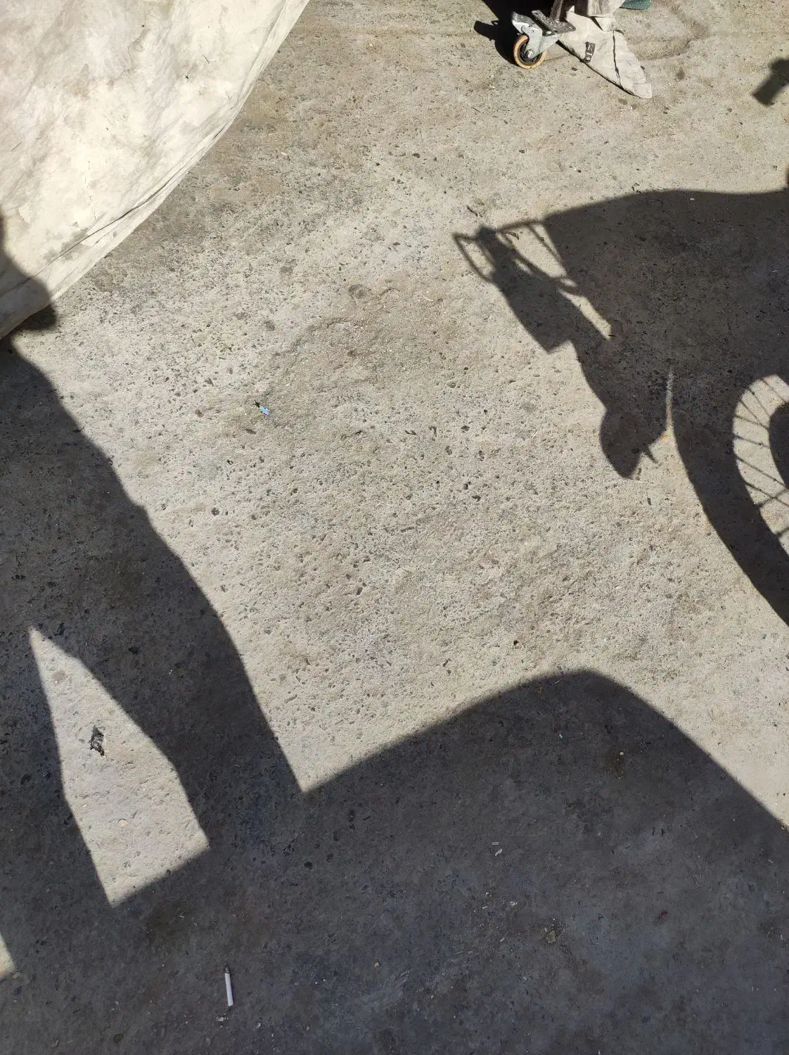 پراید|خودرو سواری و وانت|زاهدان, |دیوار