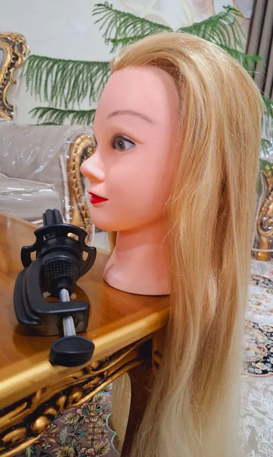 کله مانکن|آرایشگاه و سالن‌های زیبایی|خلخال, |دیوار