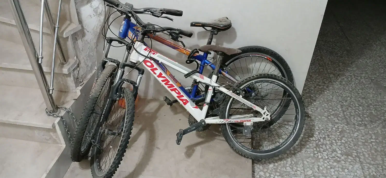 دوچرخه المپیا سفید سایز ۲۴|دوچرخه، اسکیت، اسکوتر|الوند, |دیوار