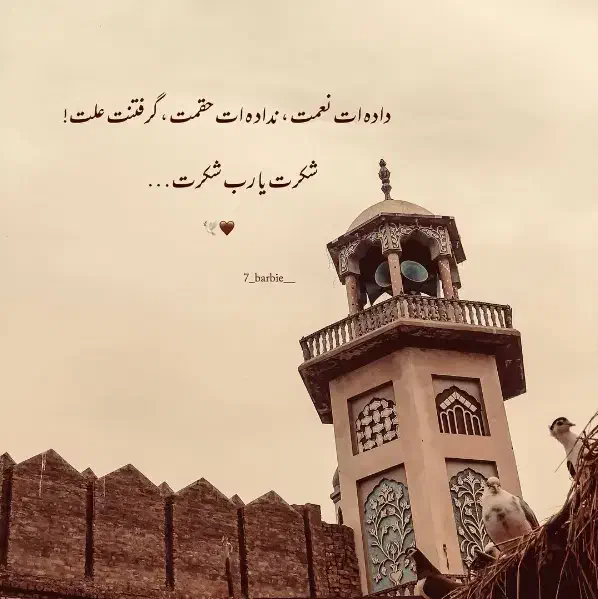 انجام کلیه کارهای اداری ومجوزات در ارگان های دولتی|خدمات مالی، حسابداری، بیمه|شیراز, قصرالدشت|دیوار