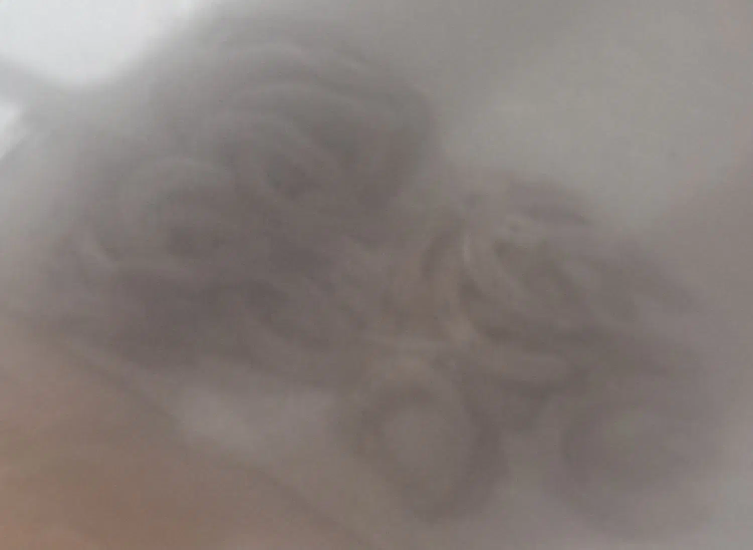 نعل اسب|کلکسیون اشیاء عتیقه|اردبیل, |دیوار