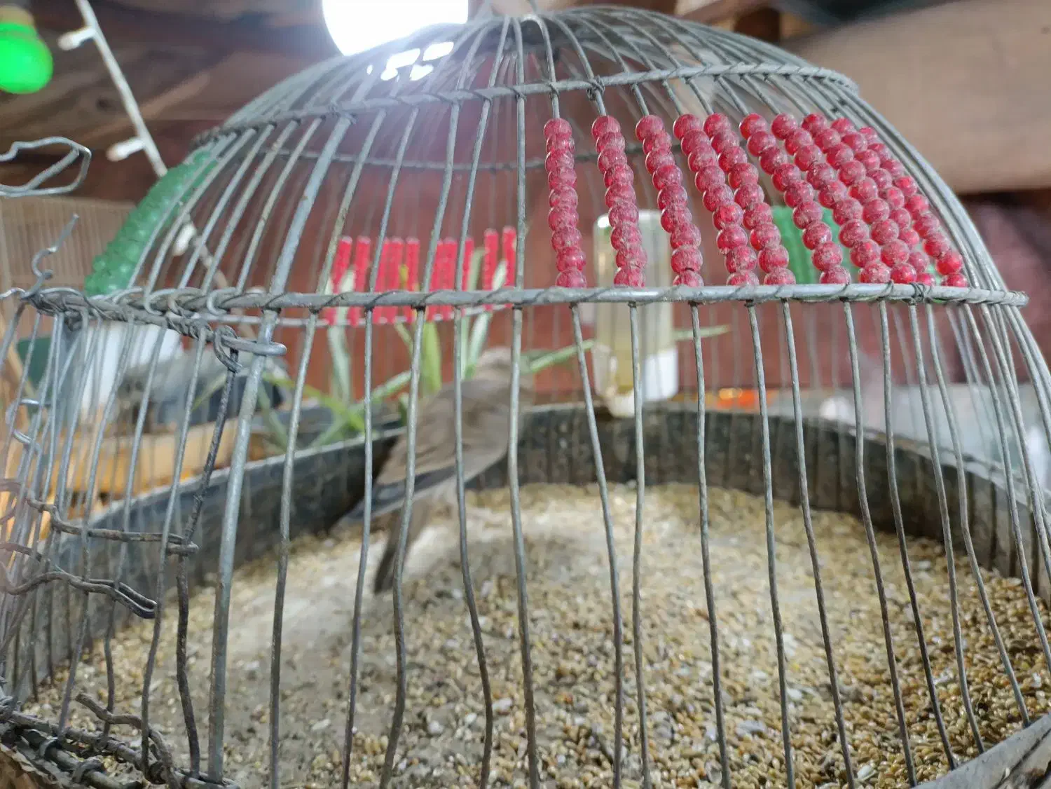 چکاوگ|حراج|مشهد, ایثار|دیوار