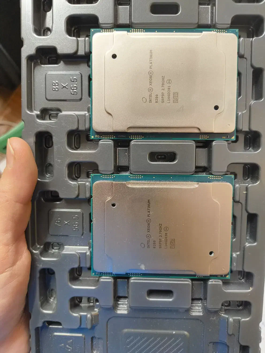 CPU 8280 قیمت استثنایی|قطعات و لوازم جانبی رایانه|تهران, نیلوفر|دیوار