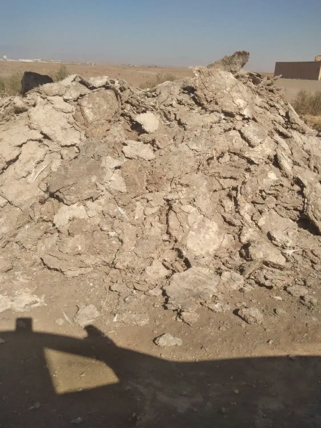 کود یا بار بوقلمون|خدمات باغبانی و درختکاری|سبزوار, قصبه غربی|دیوار