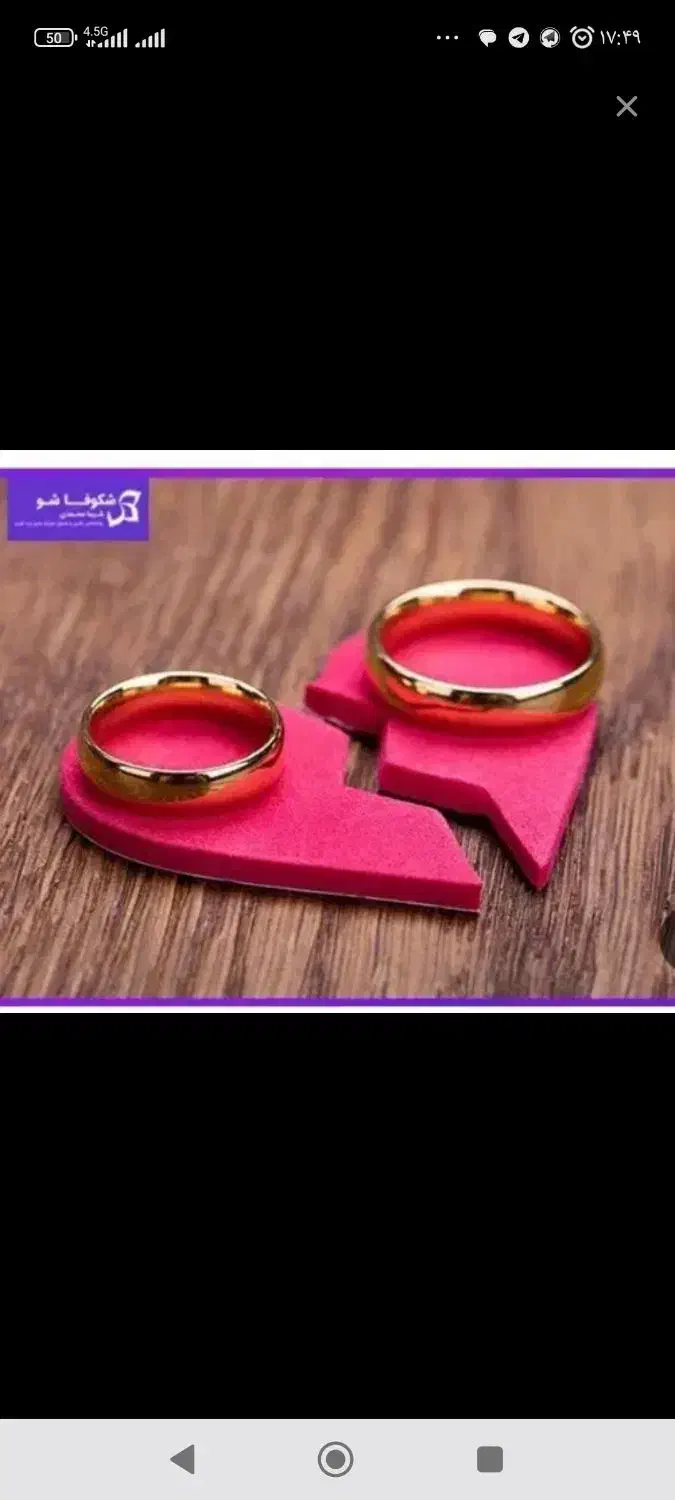 وکیل خانم متخصص طلاق در کوتاهترین زمان|خدمات مالی، حسابداری، بیمه|مشهد, شریف|دیوار