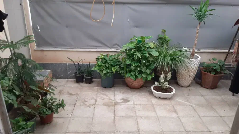 اجاره واحد۸۵ متری|اجارهٔ آپارتمان|نظرآباد, نظرآباد|دیوار