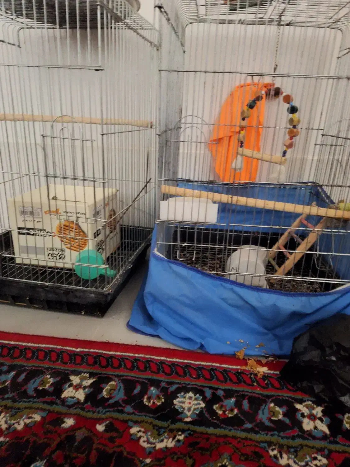 قفس بزرگ|لوازم جانبی حیوانات|مرودشت, ابوذر شمالی‎|دیوار