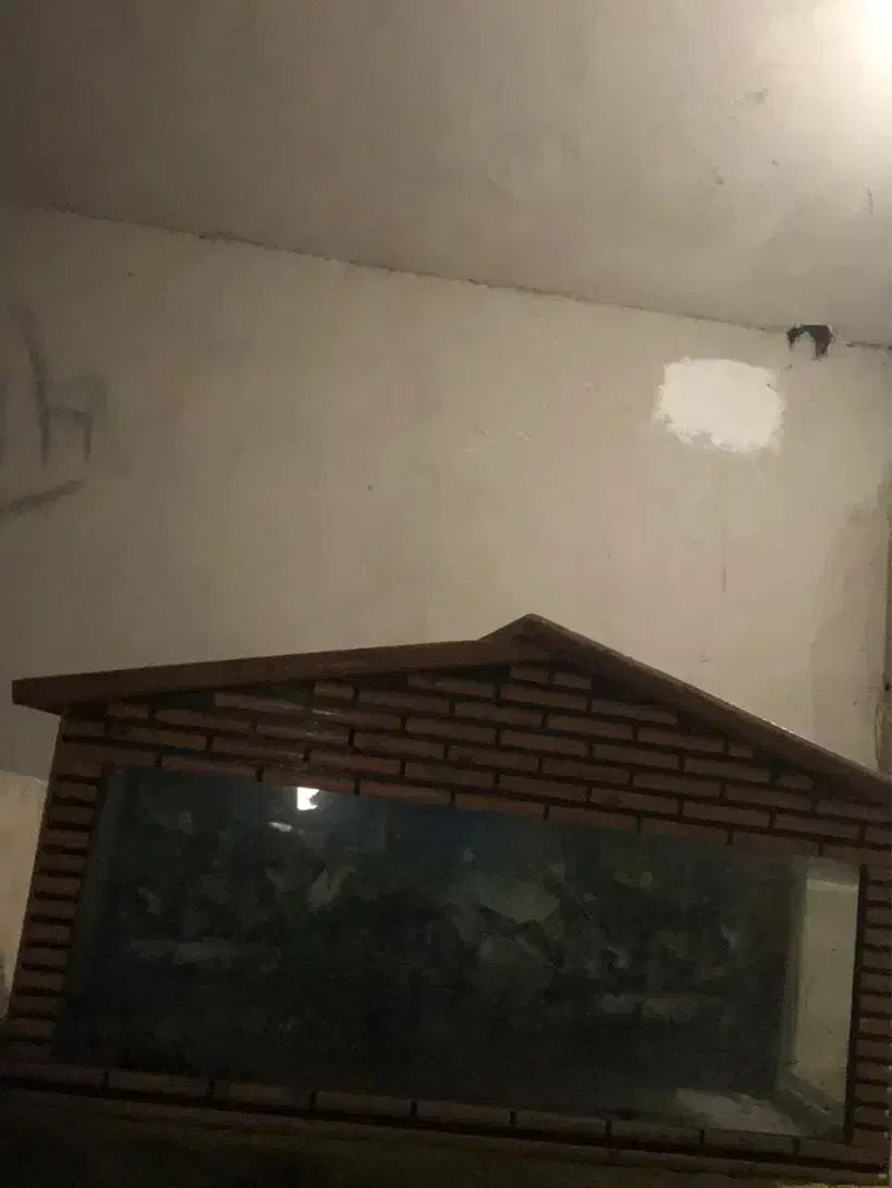 اکواریوم بزرگ با پمپ|ماهی|هشتگرد, فاز ۱ مهستان|دیوار