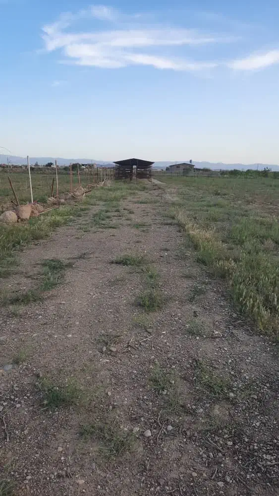 مشارکت در پرورش قارچ خوراکی و گیاهان و ماهی|خدمات باغبانی و درختکاری|تاکستان, |دیوار