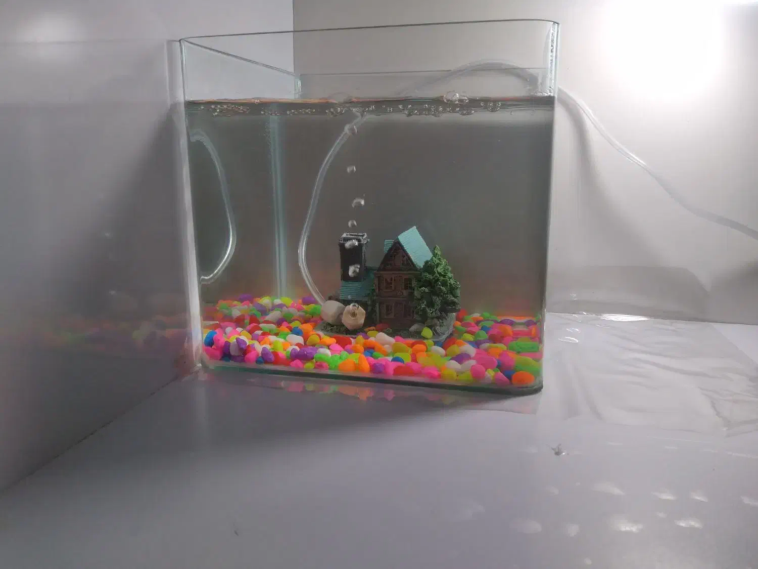 اکواریوم همراه باماهی|ماهی|ابهر, |دیوار