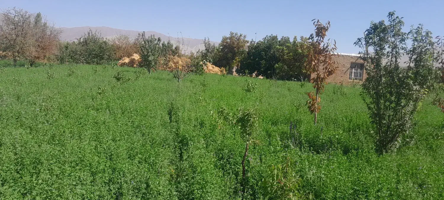 استخدام تمام وقت|استخدام سرایداری و نظافت|تسوج, |دیوار