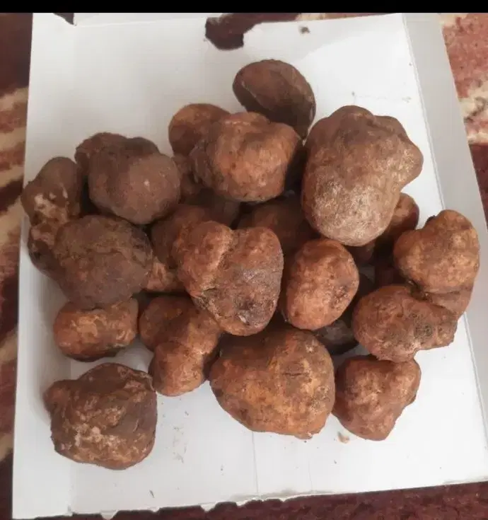 دمبل تازه|خوردنی و آشامیدنی|فسا, |دیوار