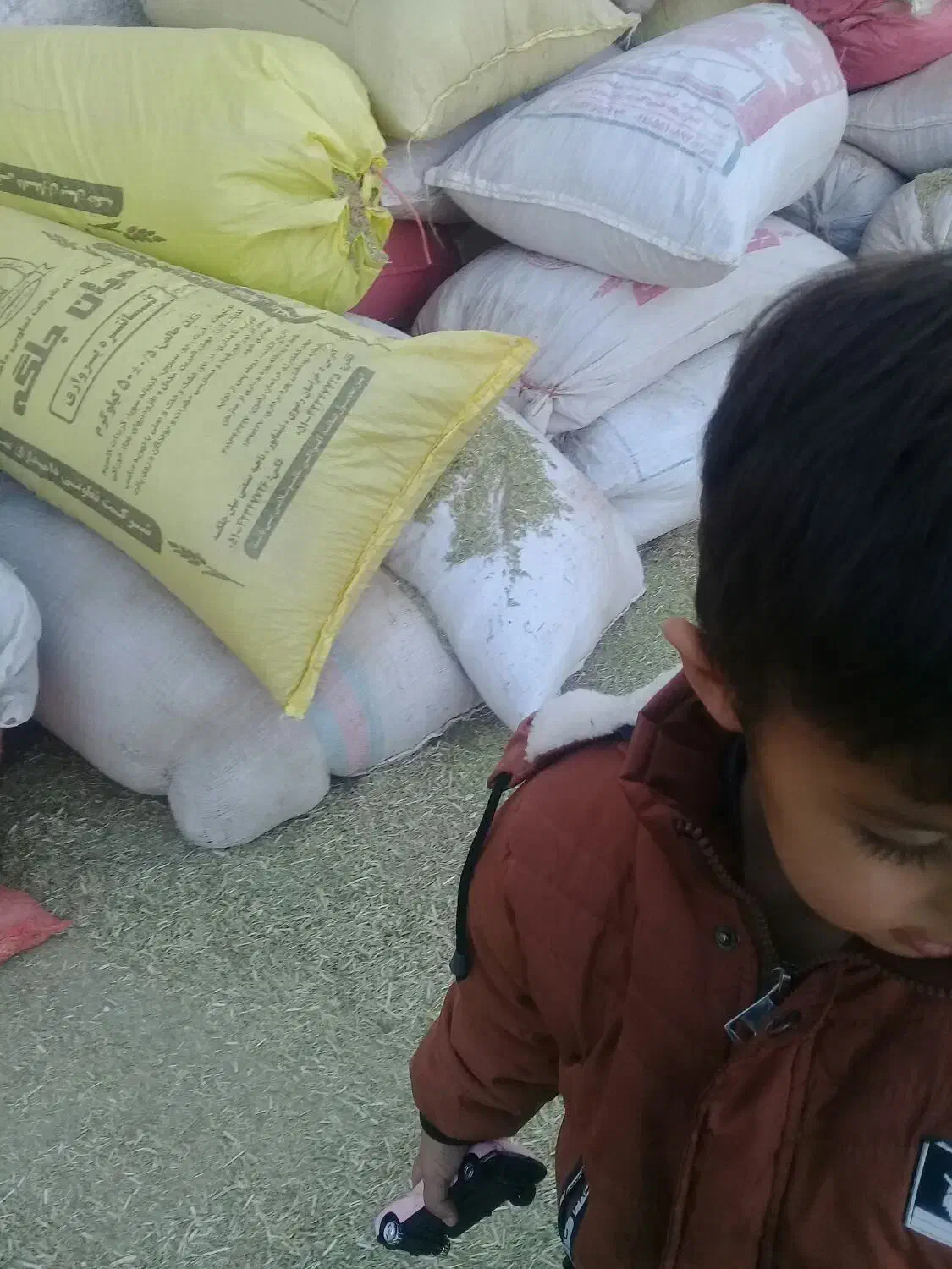 کاه خار|لوازم جانبی حیوانات|میان جلگه, |دیوار