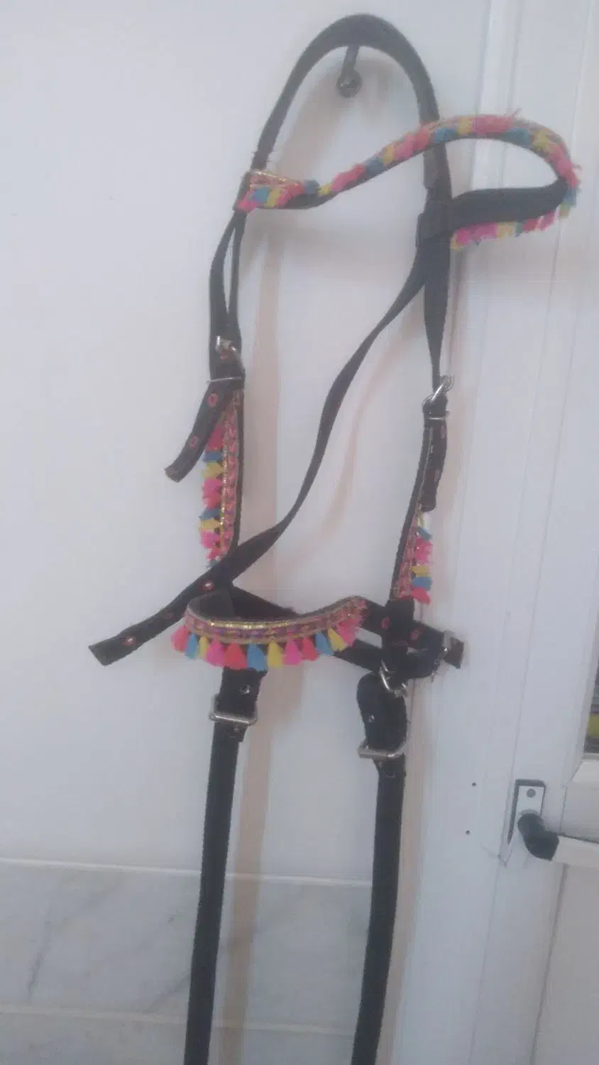 کلگی دست جلو اسب|اسب و تجهیزات اسبسواری|اردکان, |دیوار