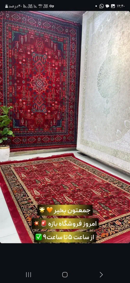 فرش/ونووس/بافتی نرم و رنگ‌هایی ماندگار.|فرش|اهواز, پادادشهر|دیوار