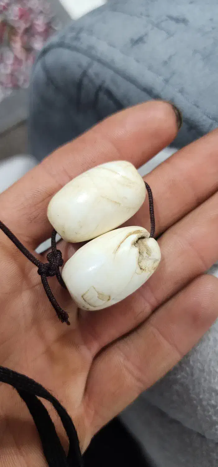 مهره|کلکسیون اشیاء عتیقه|ایلام, |دیوار